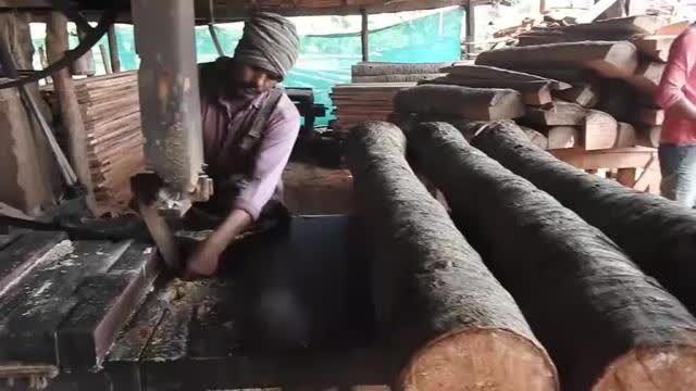 实拍巴基斯坦小型木材加工厂,网友 落后中国30年不止